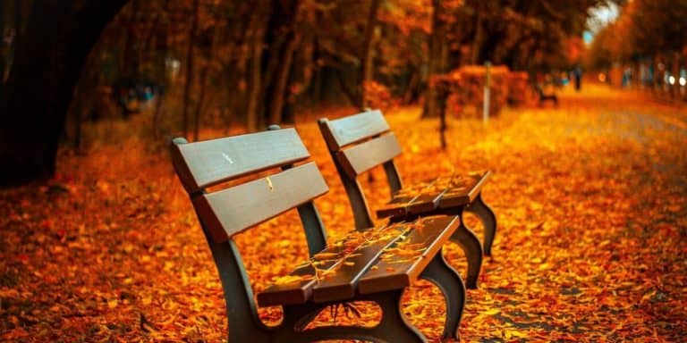 Add more fall