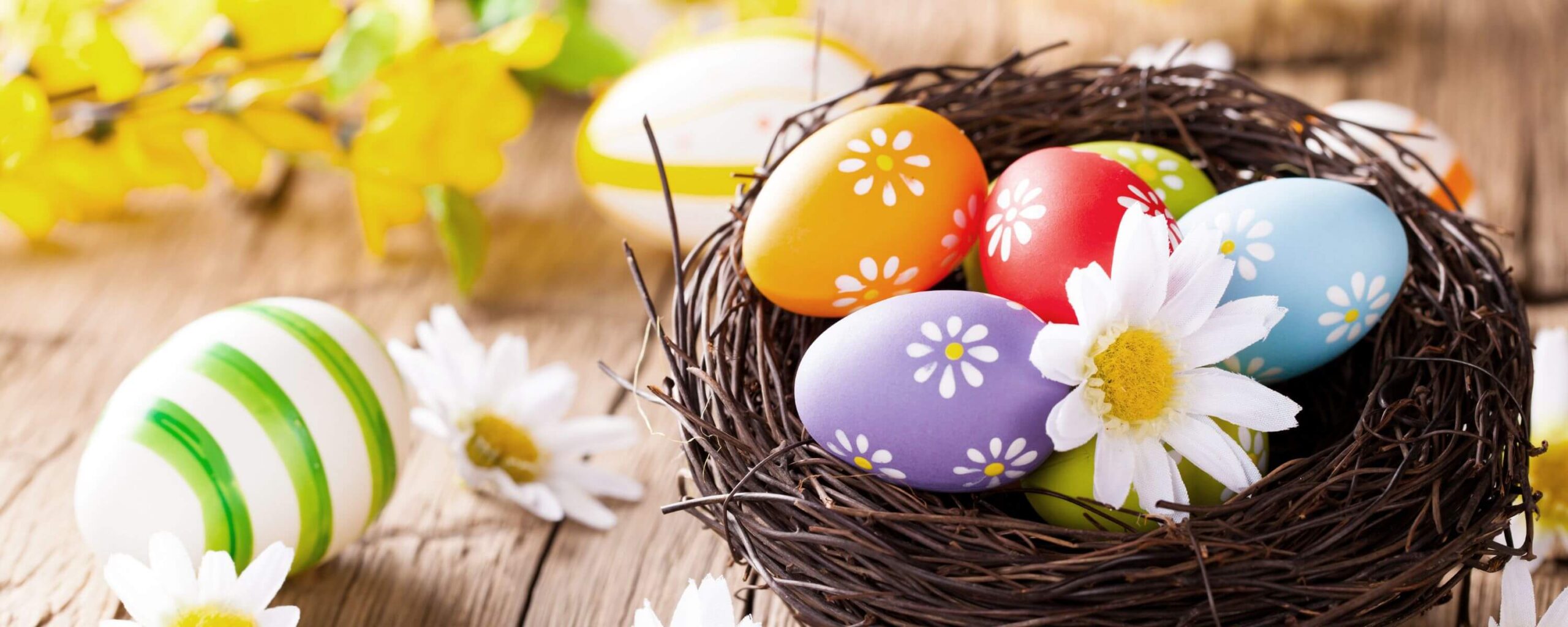 Colourful Easter Eggs and flowers